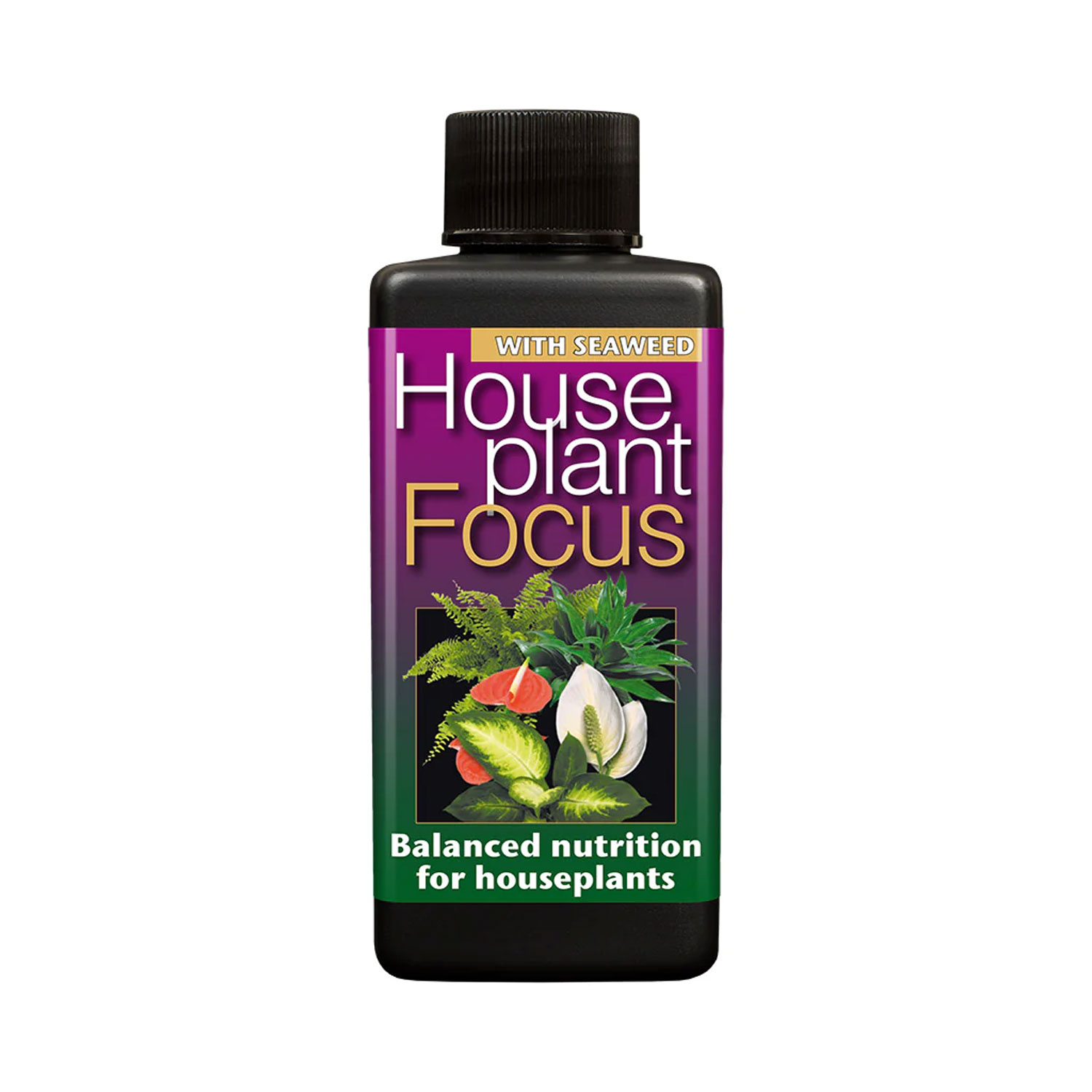 Houseplant Focus - Plant Nutrition
