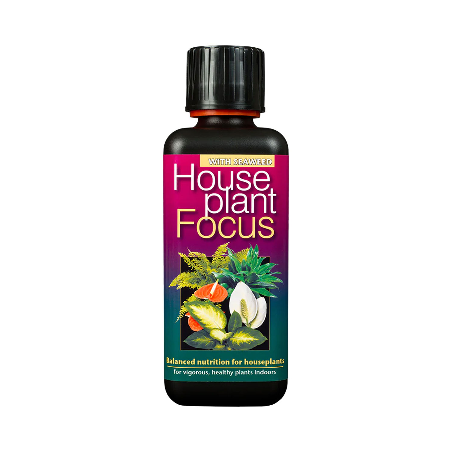 Houseplant Focus - Plant Nutrition - Image 2