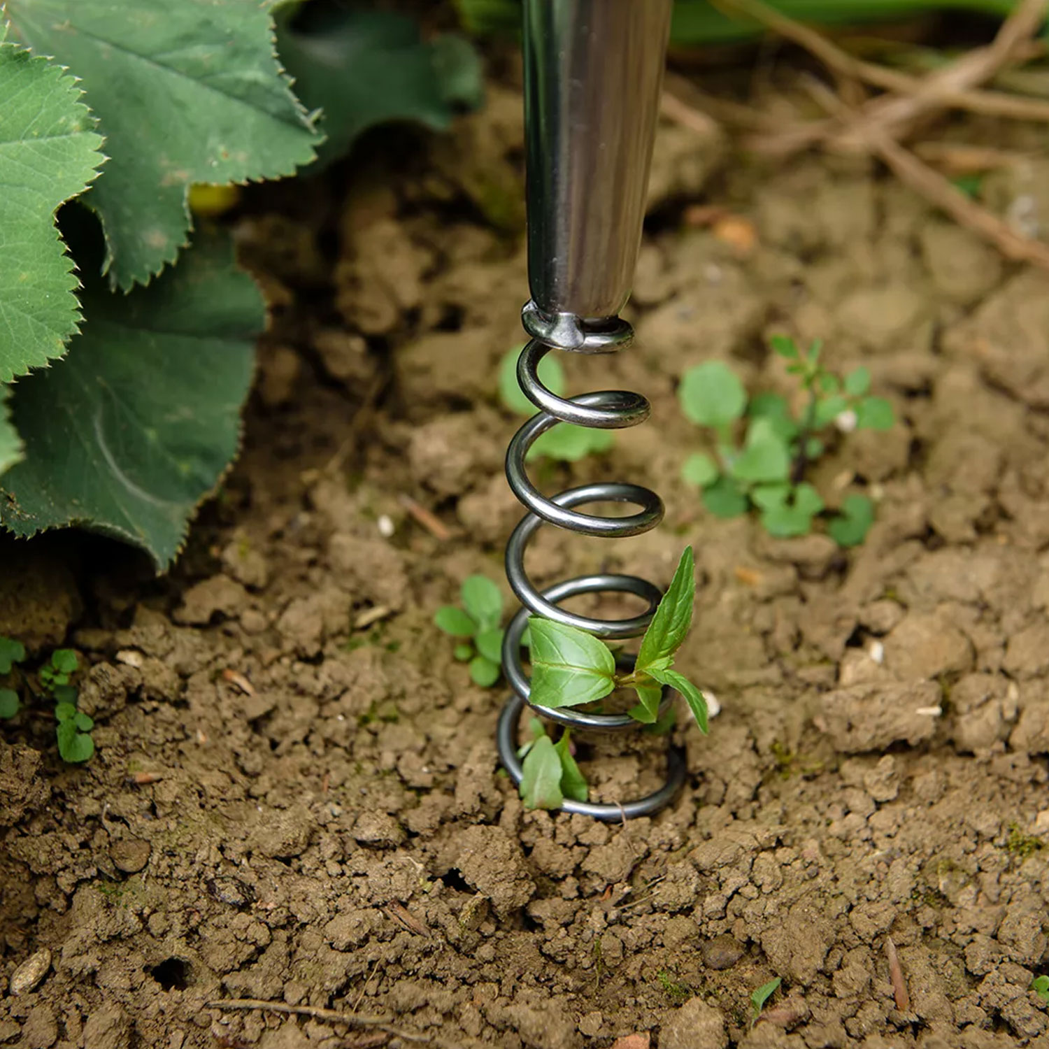 Kent & Stowe Stainless Steel Hand Corkscrew Weeder - Image 2