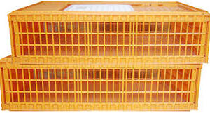 Live Chicken Crates