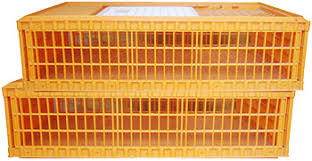 Live Chicken Crates