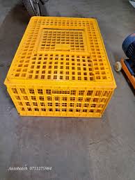 Live Chicken Crates - Image 2