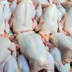 Whole Chicken (1.29 kg)